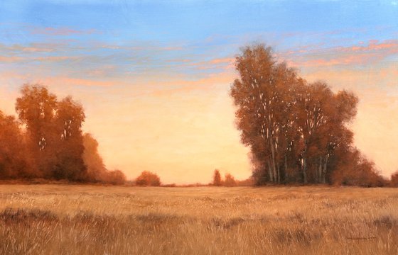 Trees At Sunset 260102