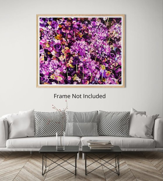Violet Rhapsody