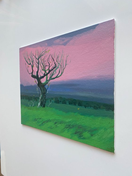 Lonely tree