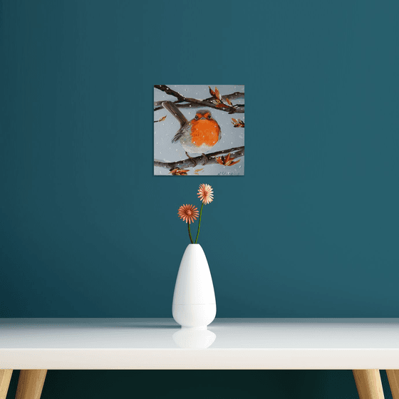 Winter Robin, Christmas Bird