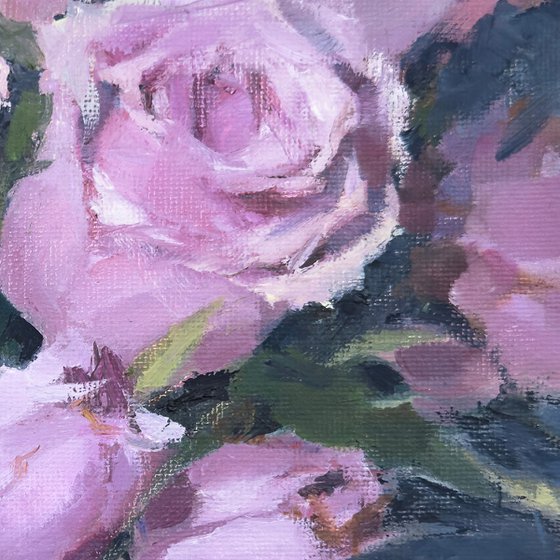 Serenade in Pink