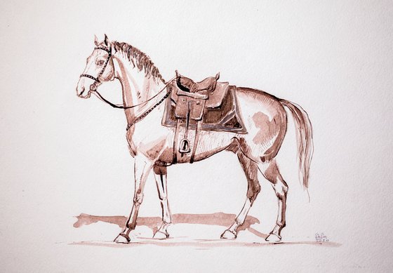"A Cossack horse"
