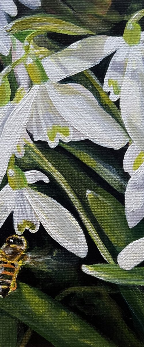 Snowdrops and Bee by Sarah Stowe