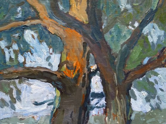 Tree