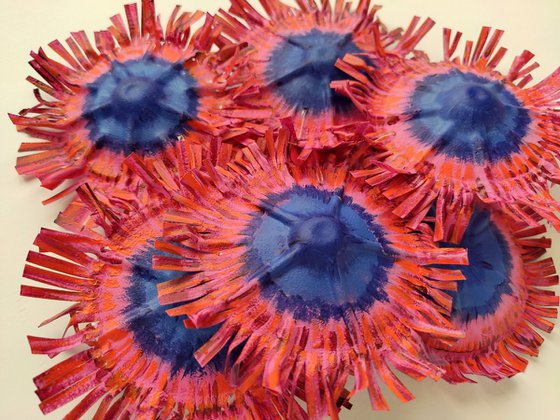 Zoanthids colony-7