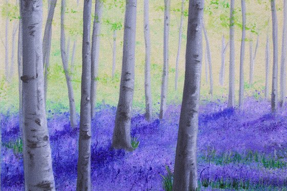 Beeches and Bluebells