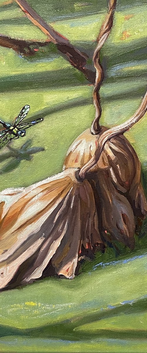 Dragonfly on the lotus pond by Guzel Min