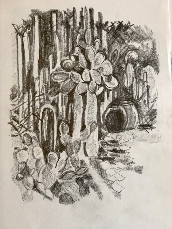 Cactus Garden Sketch 2
