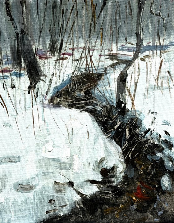 Silent Winter Stream