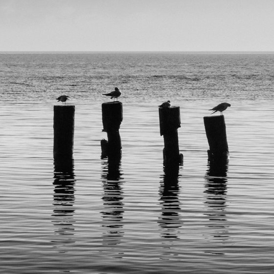 Waiting for the sunrise.