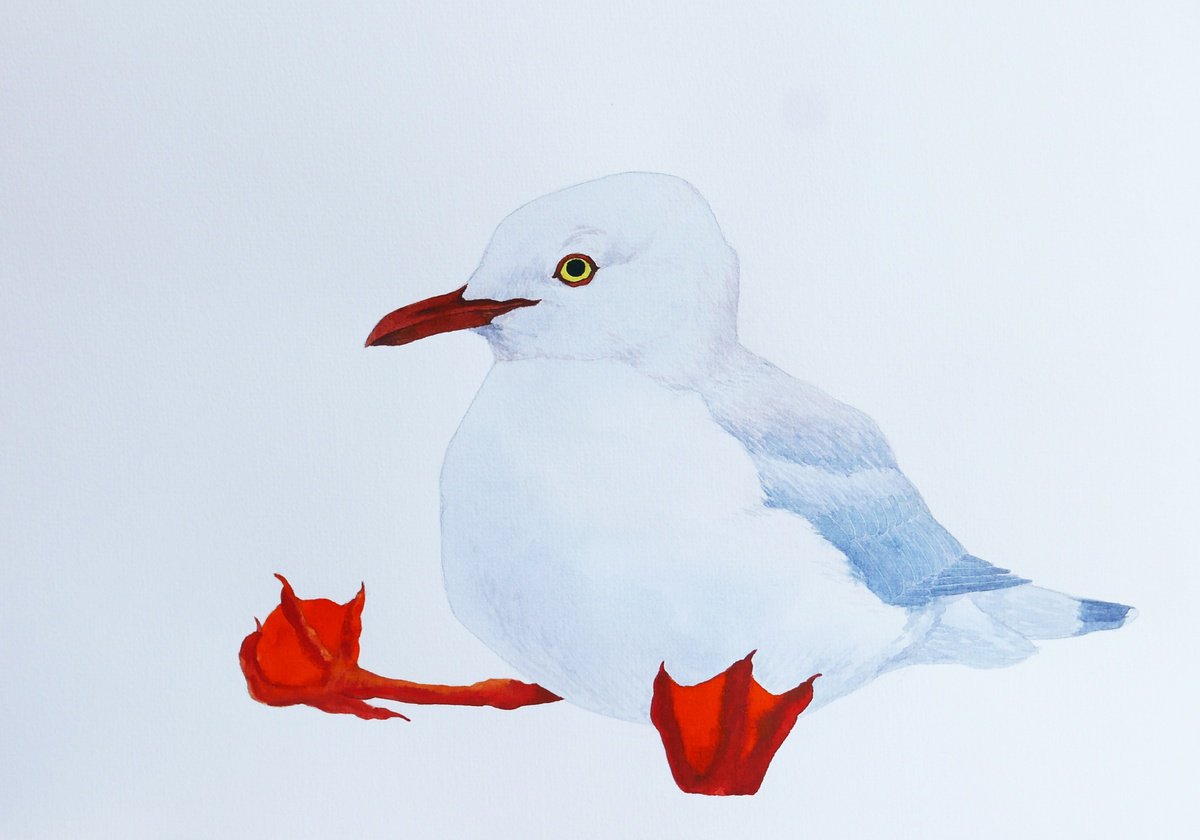 Kiddo gull by Karina Danylchuk