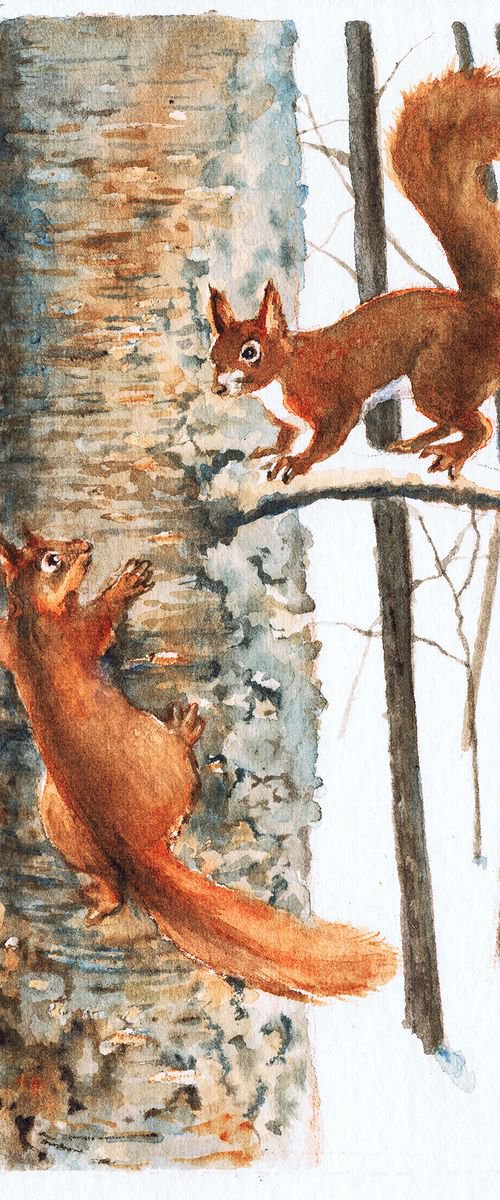 Squirrels by Julia Wakefield