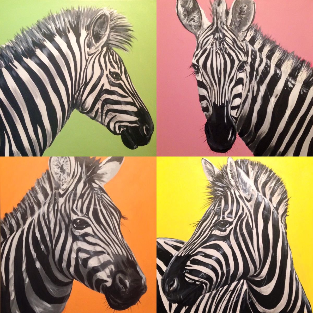 A dazzle of zebra by Stuart Evans