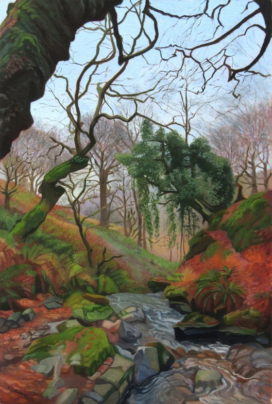 Lamb Woods