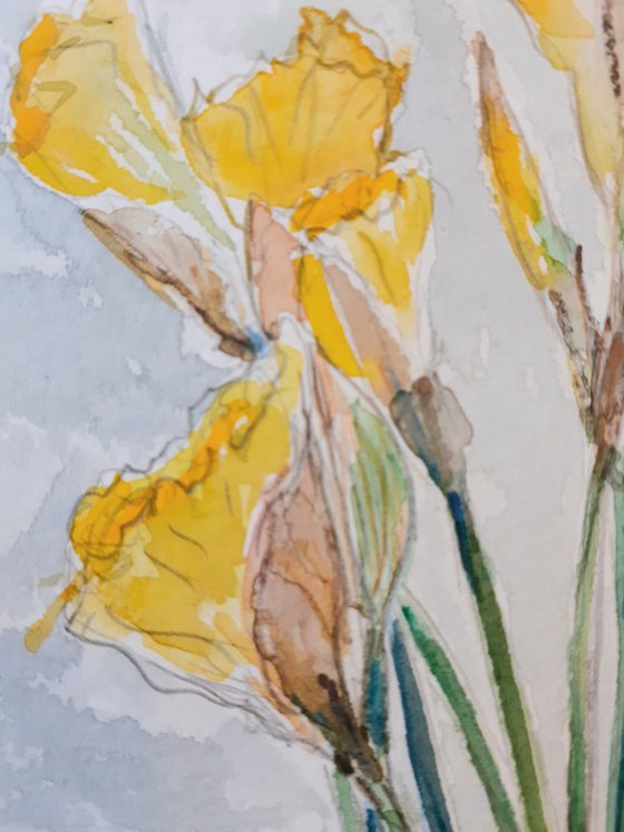 Daffodils in a Stoneware Vase