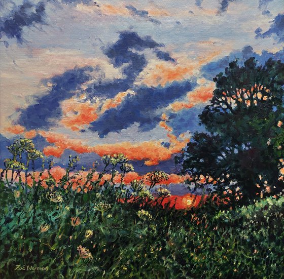 Evening Light - Sunset