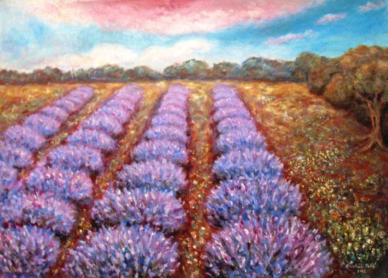 Lavender field