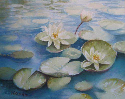 Waterlilies by Elena Oleniuc