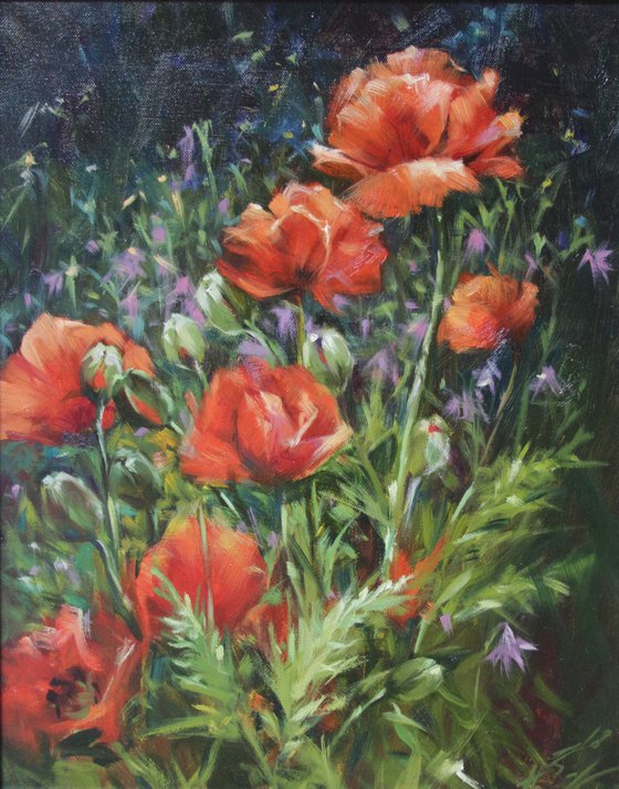 Poppies