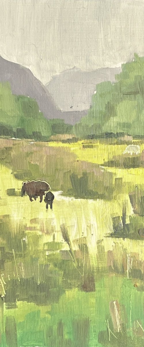 Snowdonia sheep by Louise Gillard