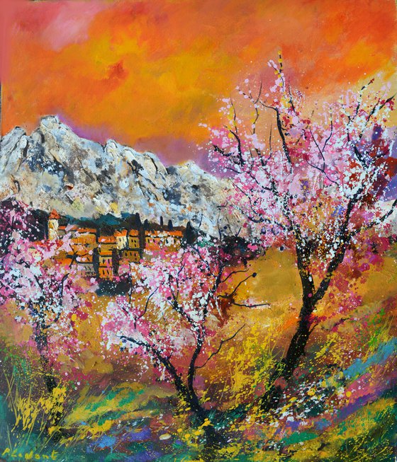 Blooming cherry trees Provence
