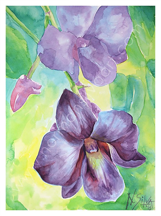 Purple Orchid Watercolor Art