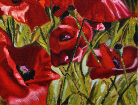 Poppies, Original Oil Painting