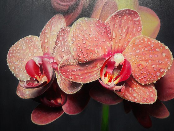 Orange orchid Hyperrealism of orange flowers. Flowers with drops of dew on the petals. Realistic painting of orchids.