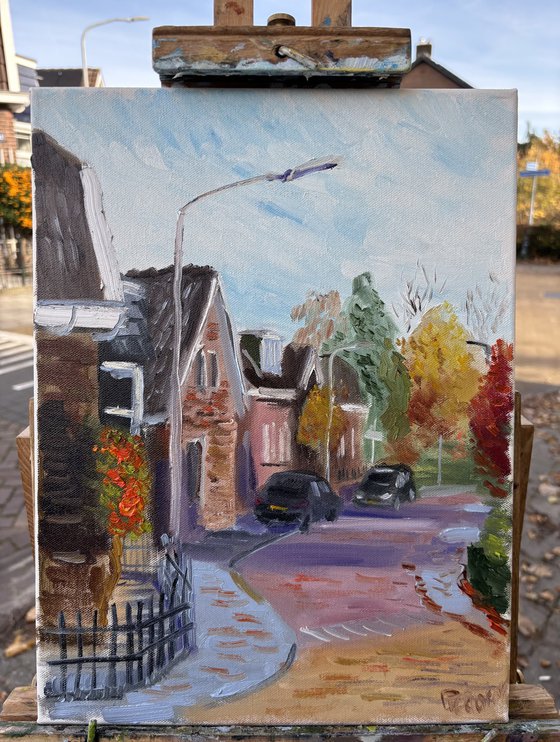 Autumn Streets of Beilen