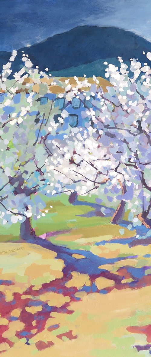 Almond Orchard, Jalo Valley by Diana Davydova