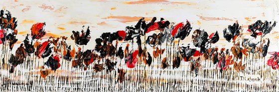 Wild Poppies 7
