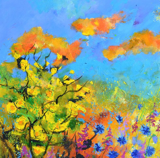 Blue cornflowers  7722