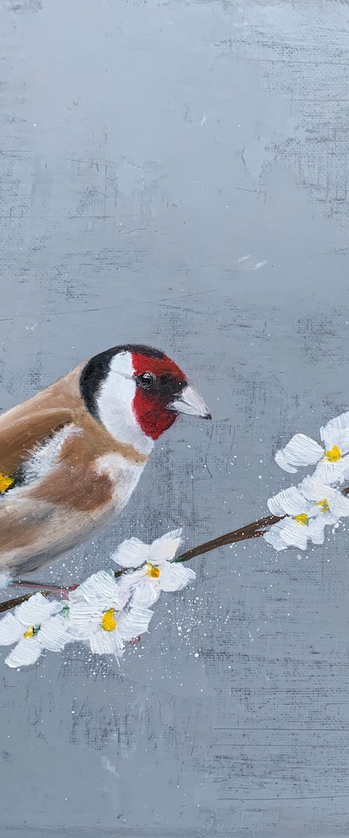 Goldfinch On Cherry Blossom by Laure Bury