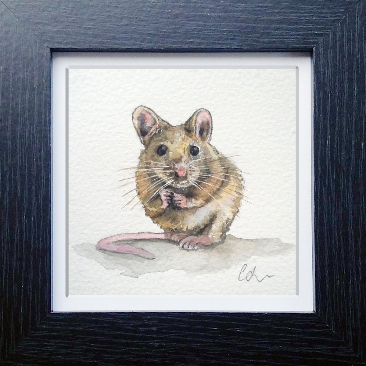 Cheese please (miniature mouse painting) by Carolynne Coulson