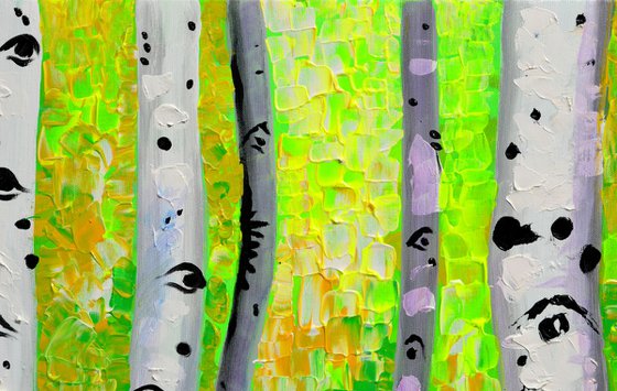 Birch Forest