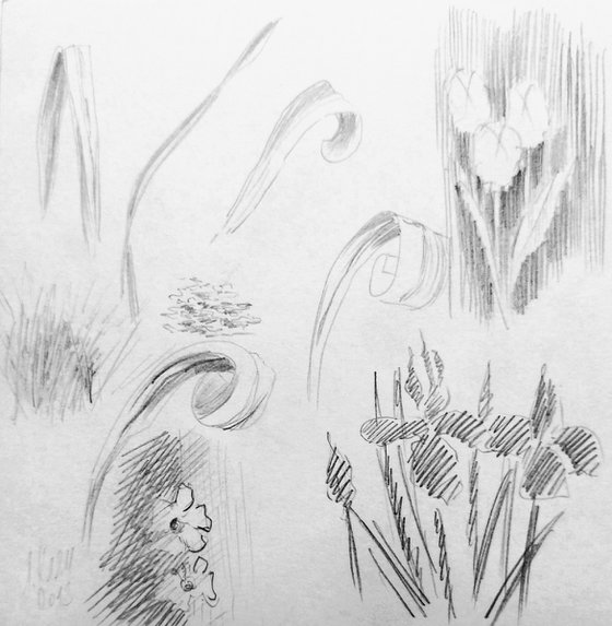 Sketch. In the garden of Giverny