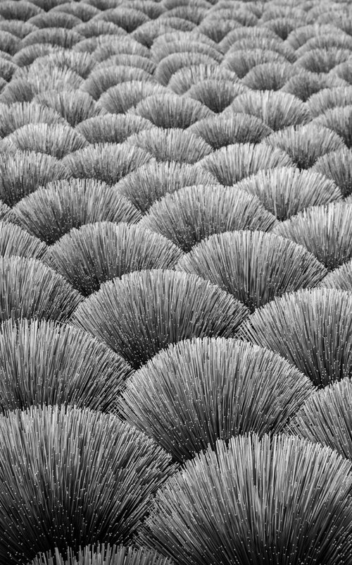 Incense Sticks No.2 (B&W) by Serge Horta