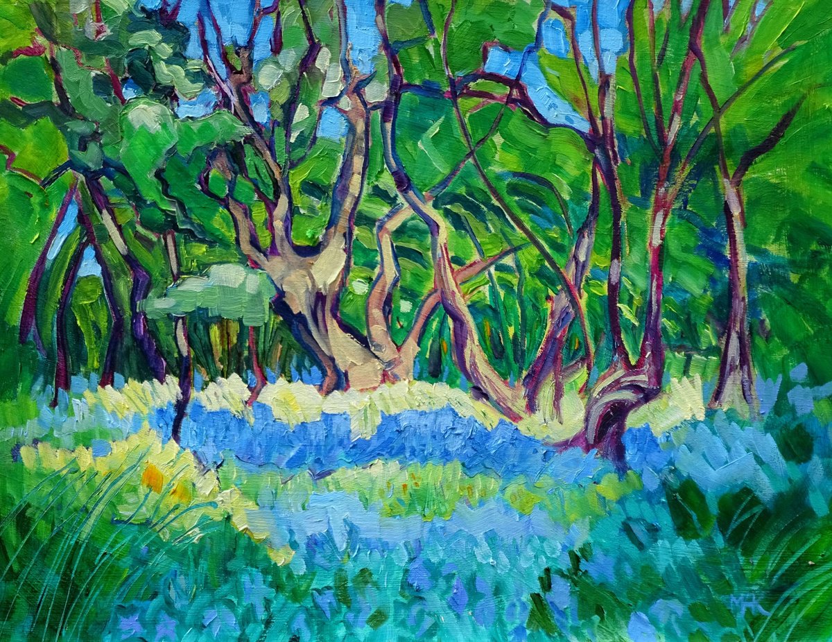 Secluded Woodland by Mary Kemp