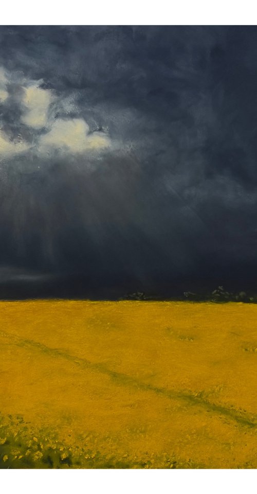 Feld unter Wolken by Sophie Kruszynski
