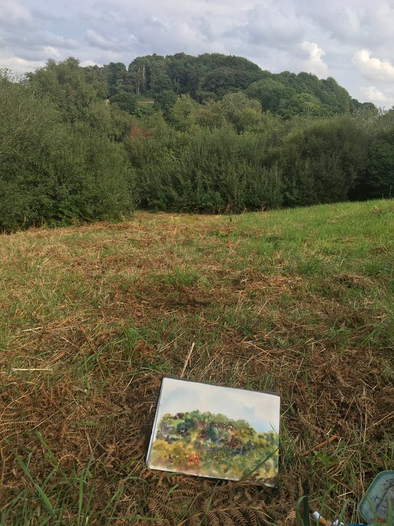 Barkers hill woods, West Wiltshire