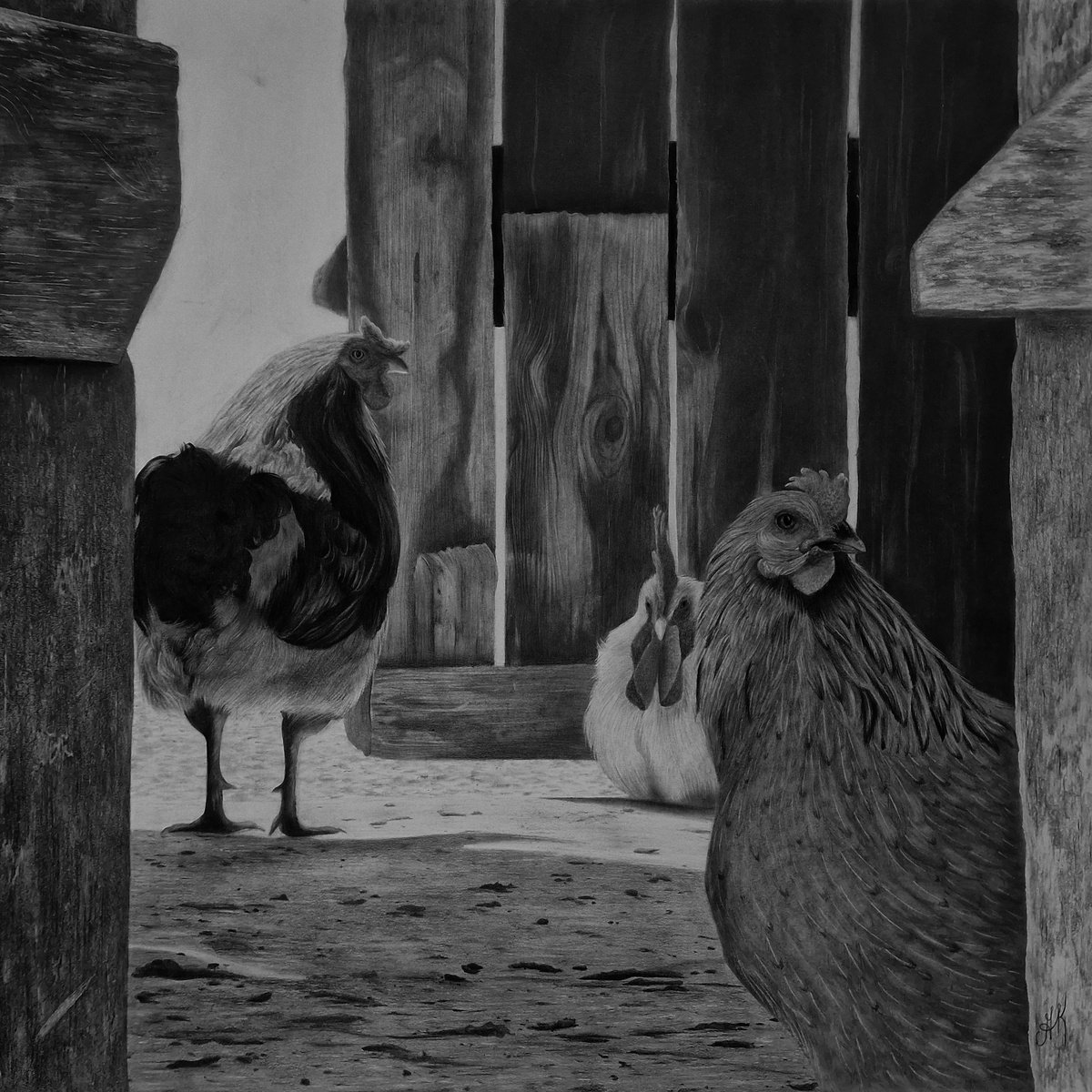 Photorealistic Animal Charcoal Drawing By Kateryna Kostyk, 16 X 16", "Who Will Get Her?", Original Artwork