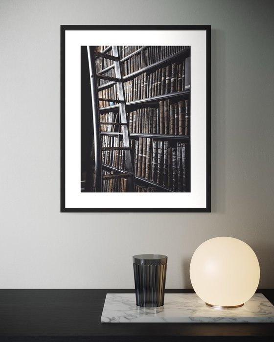 THE BEAUTIFUL LIBRARY