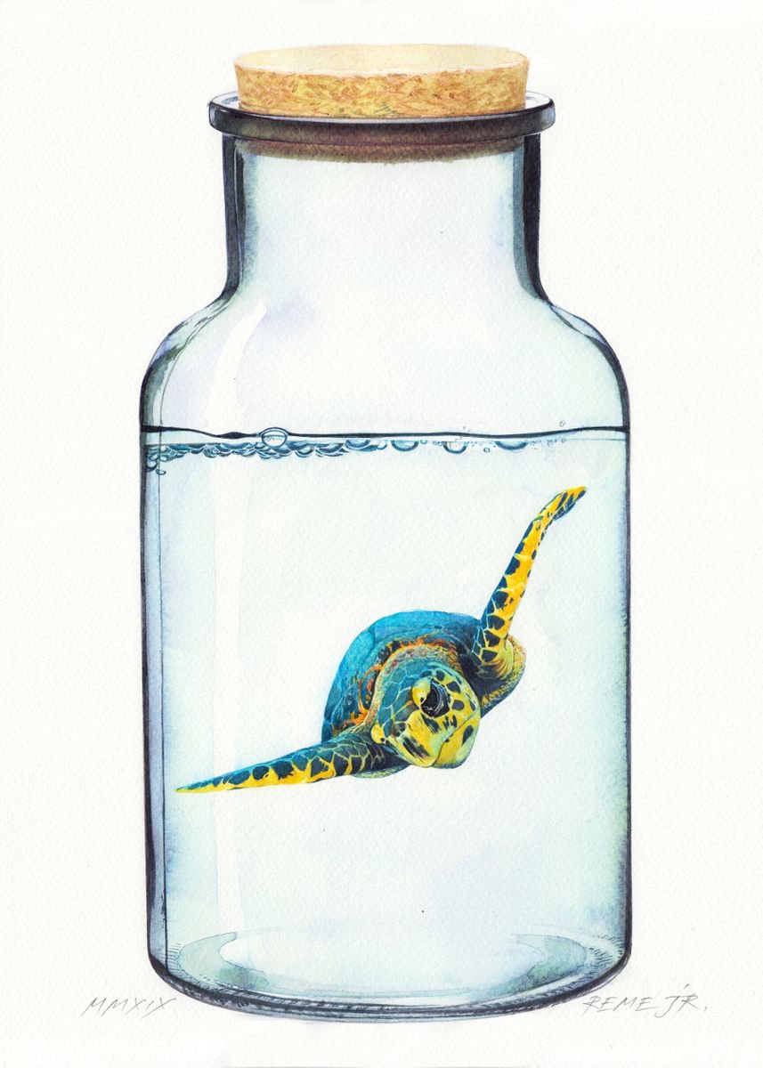 Turtle in Glass IX by REME Jr.