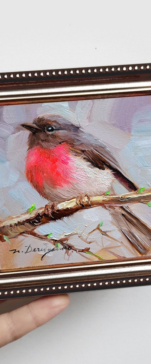 Robin pink by Nataly Derevyanko