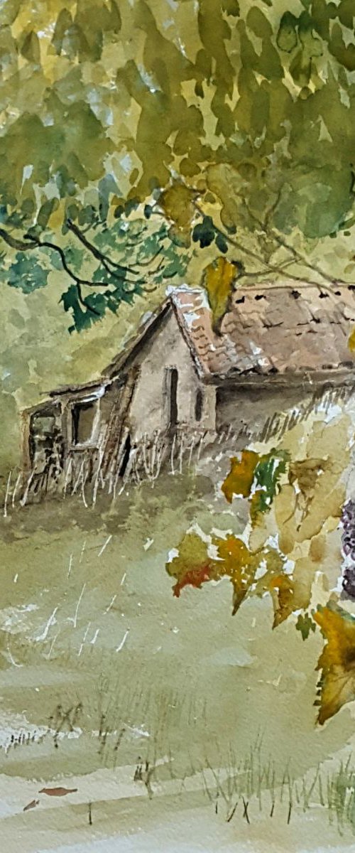 The old vineyard shed by Morag Paul