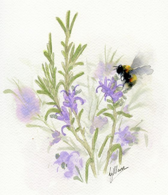 Botanical study - Rosemary and Bee