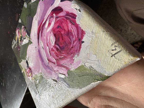 Tender Rose