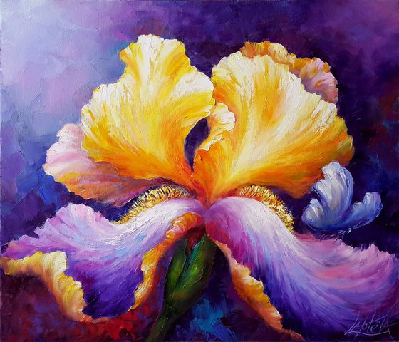 Oil flowers Painting " Iris " , impasto original art 70x60cm