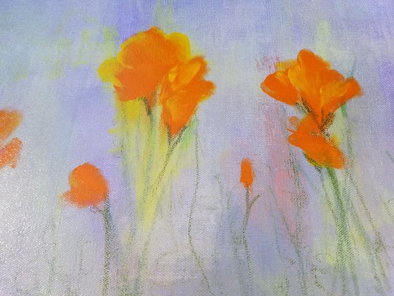 California Poppies #3