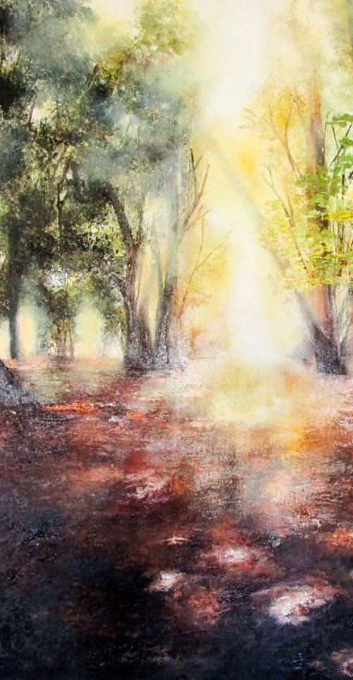 The Shifting Light by Kimberley  Harris